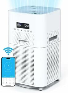 Clear the Air: A Roundup of the Best Air Purifiers