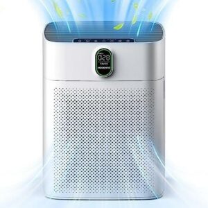 Breathing Easy: The Best Air Purifiers Unveiled